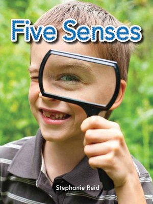 cover image of Five Senses